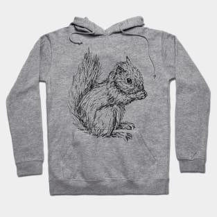 Squirrel #3 Hoodie